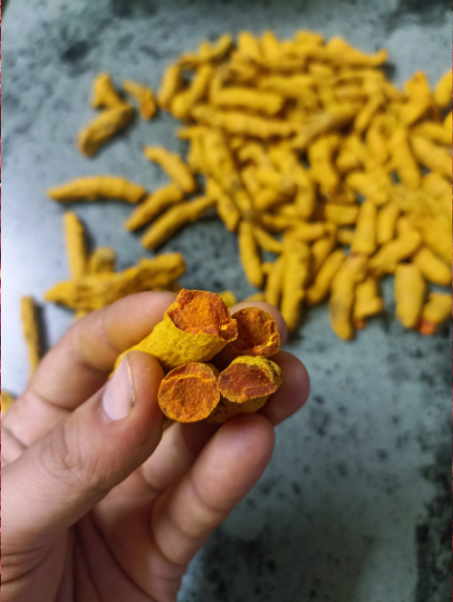 Turmeric Used By Masala Farms