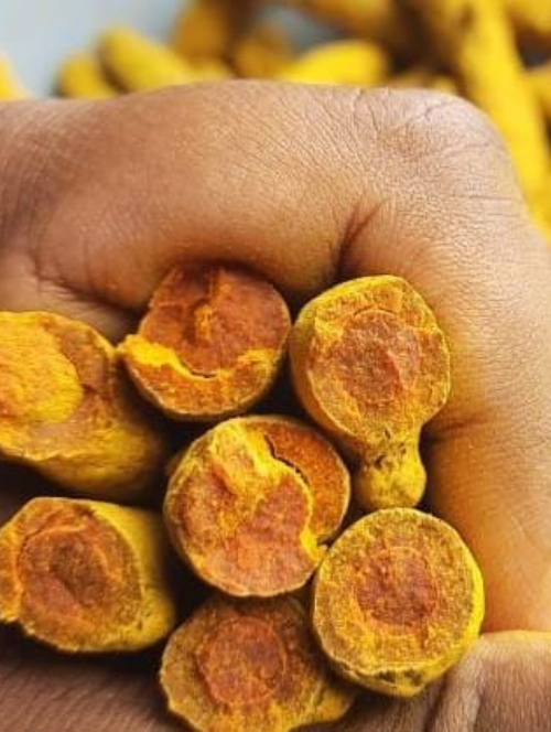 Turmeric Used By Masala Farms