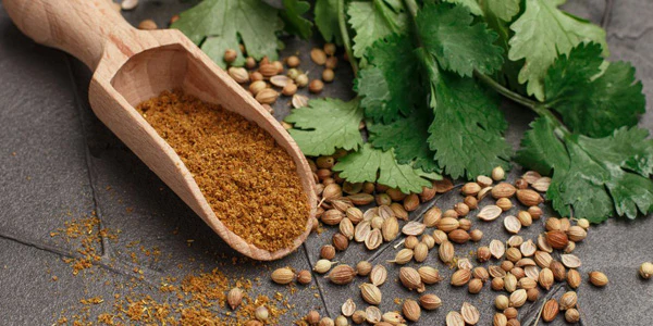 Benefits of Coriander Seeds | Masala Farms