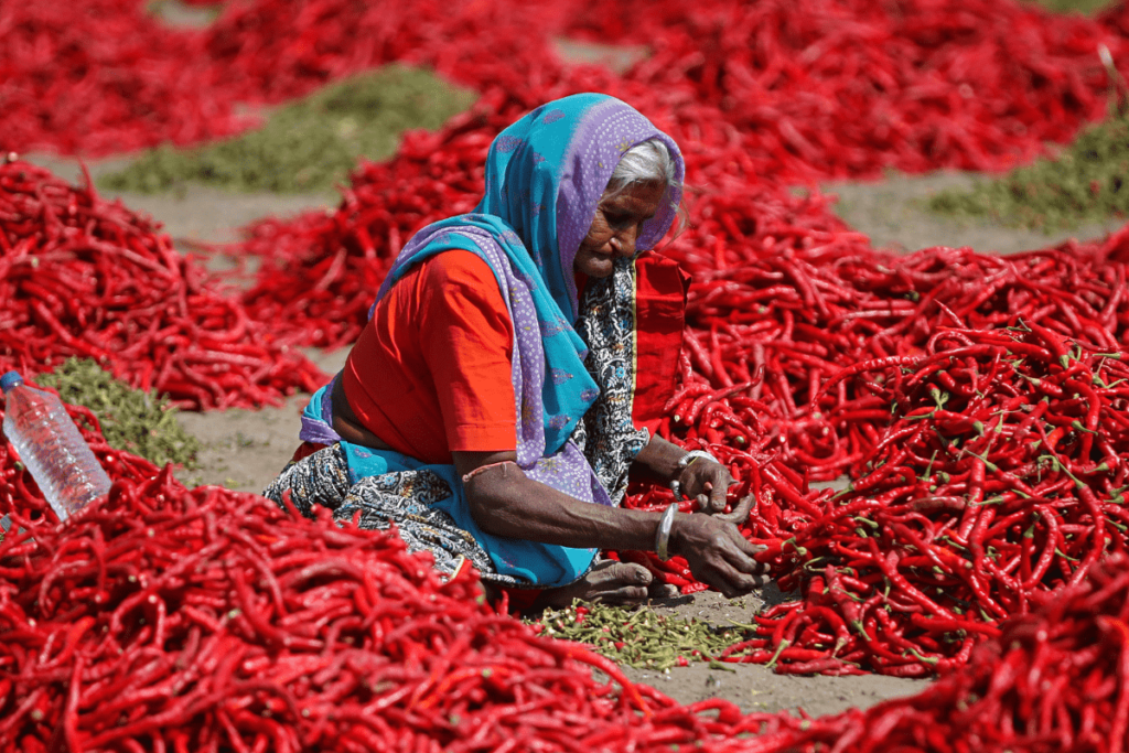 Lal mirch powder ke fayde , Benefits of red chilli powder